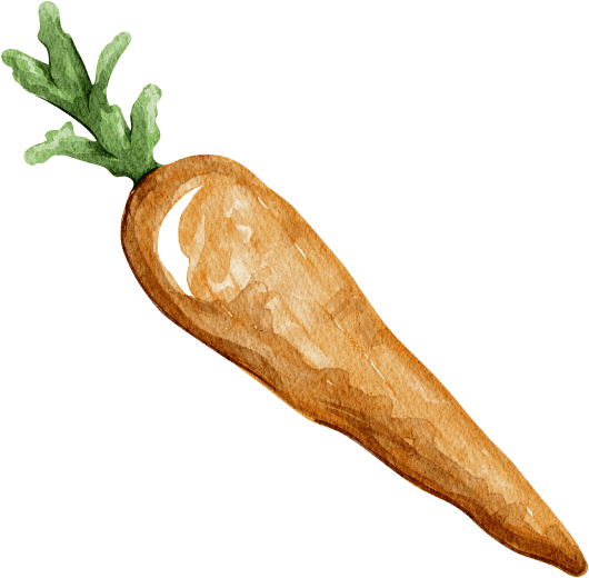 Watercolor painting of a carrot