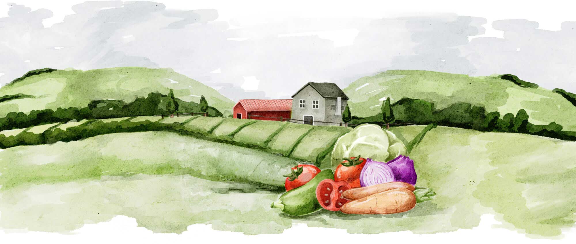 Water color painting of a farm with vegetables.