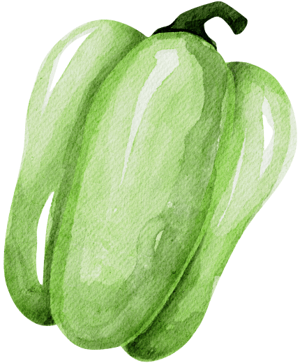 Watercolor painting of a green pepper