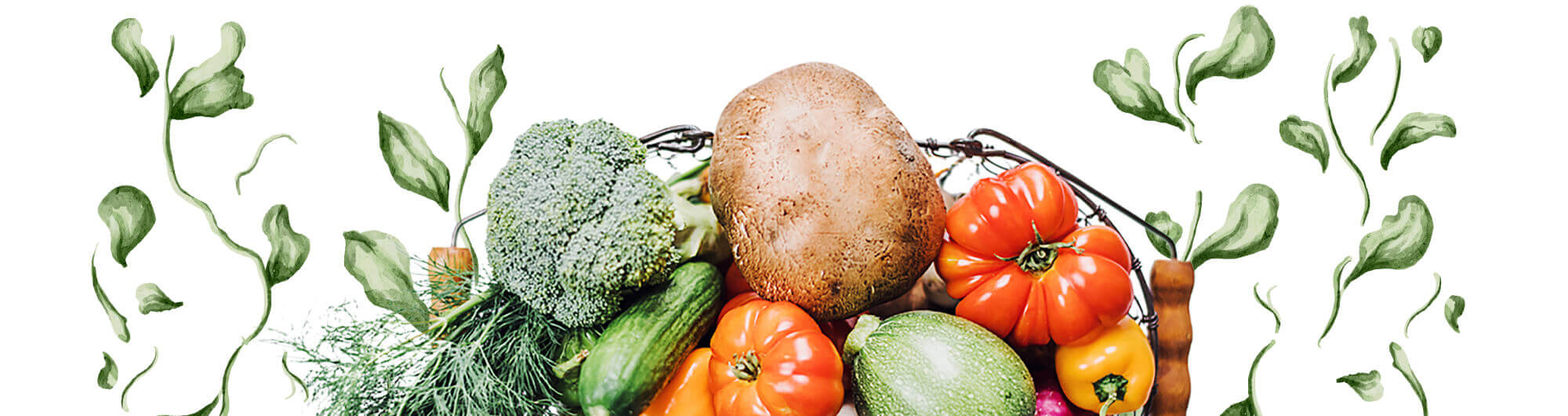 Vegetable in a basket